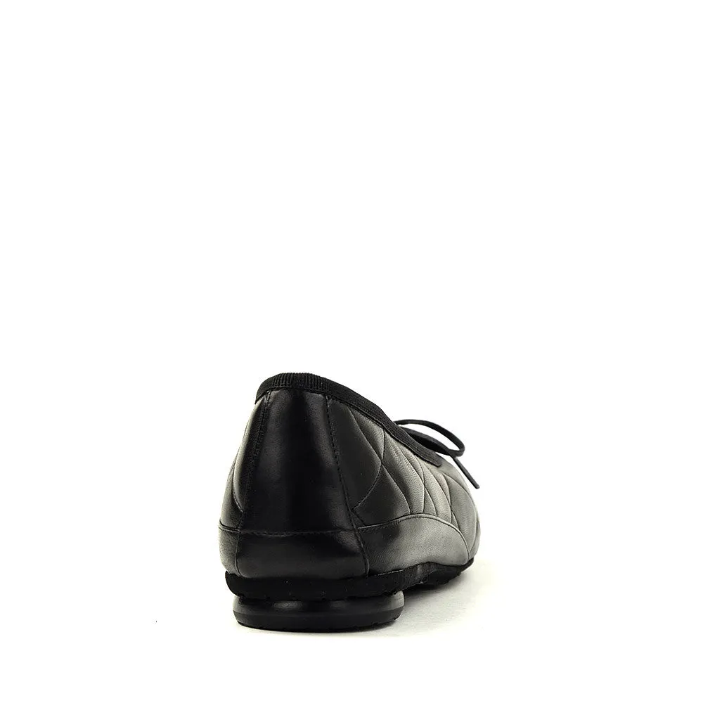 Genoa 1567 Black
