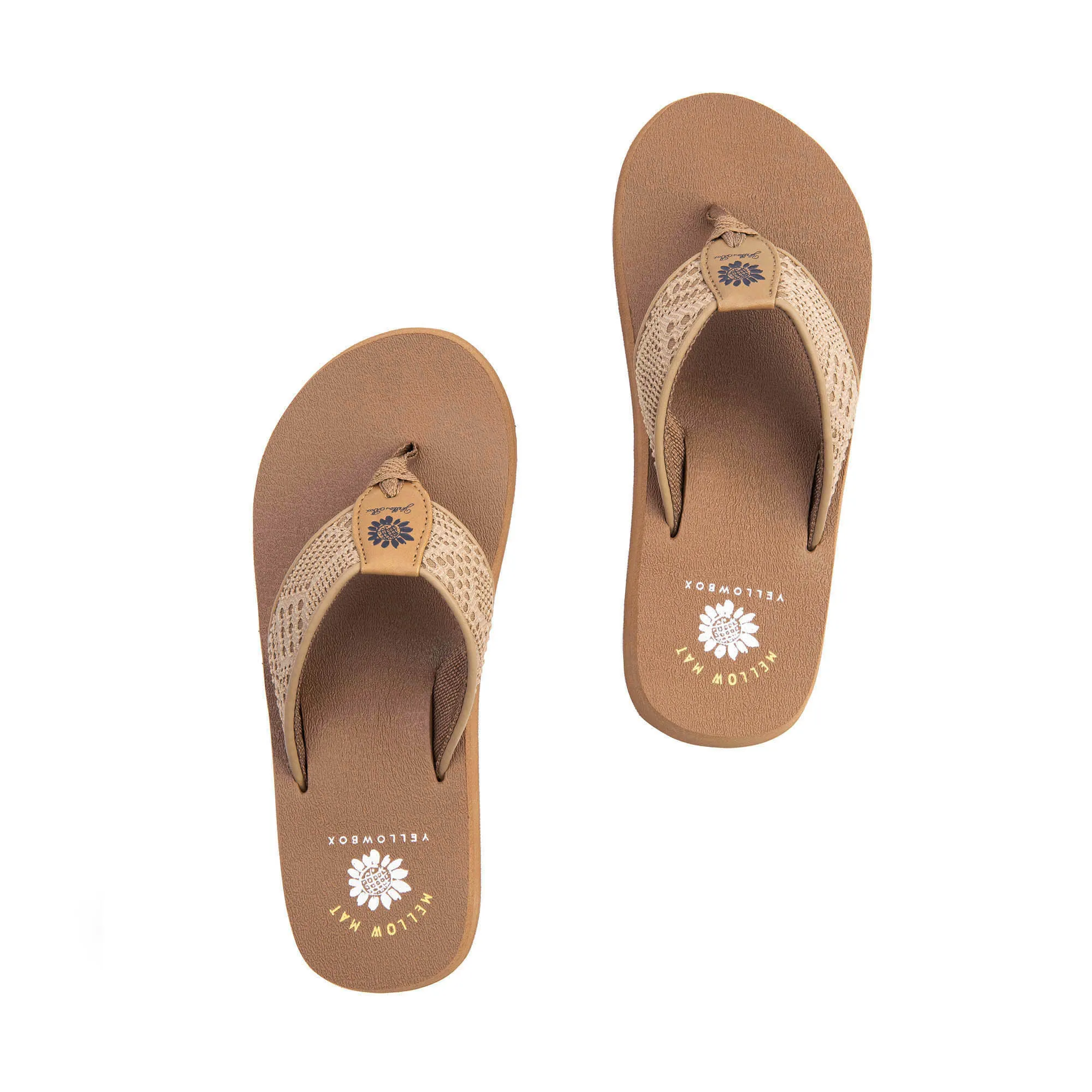 Nelin Flip Flop