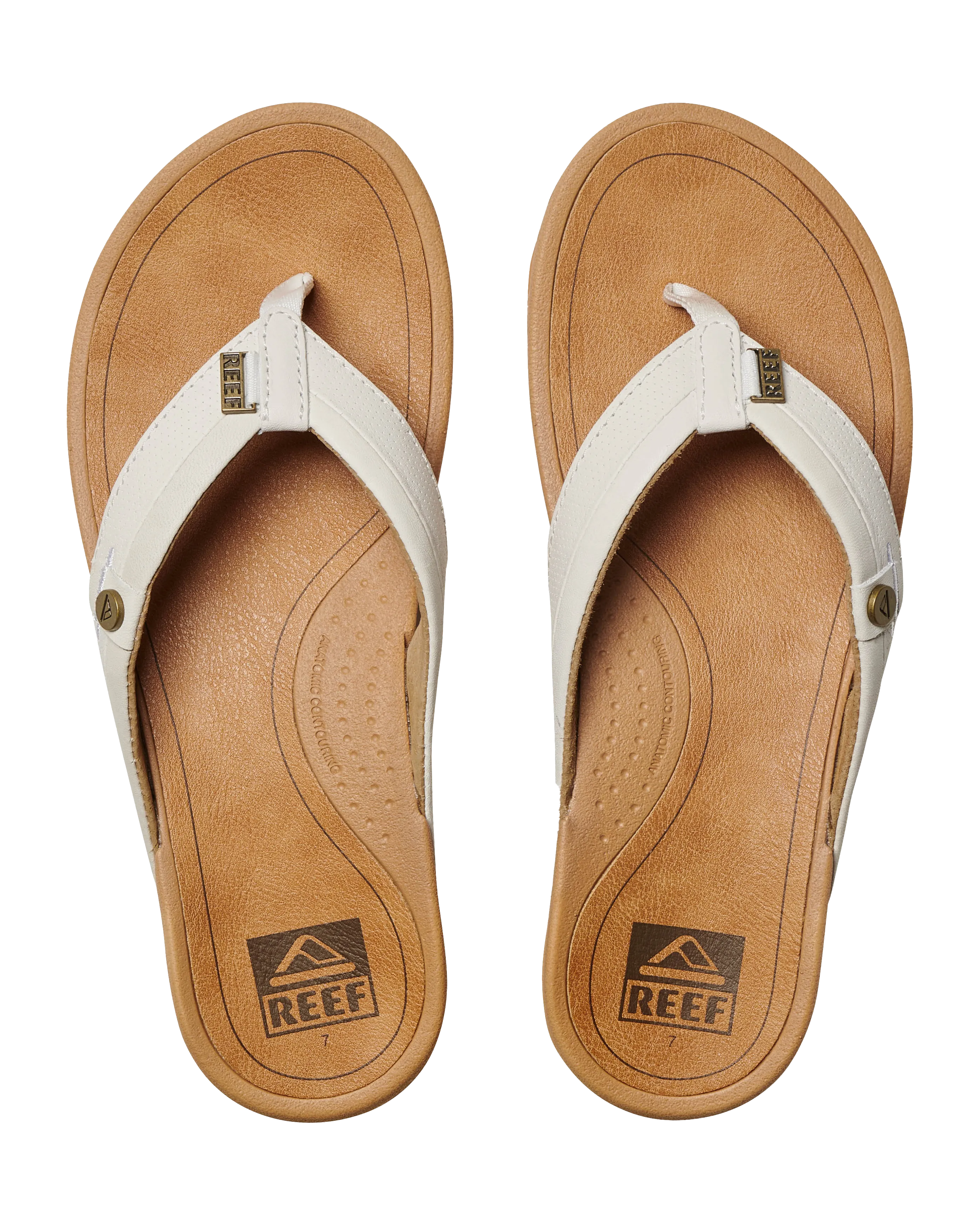 Pacific Flip Flops in Cloud